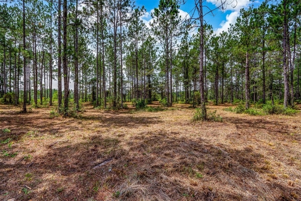 Property photo for LOT 0 COUNTY ROAD 121, Hilliard, FL
